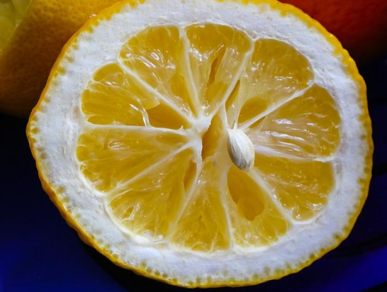 fruit 1946680 640