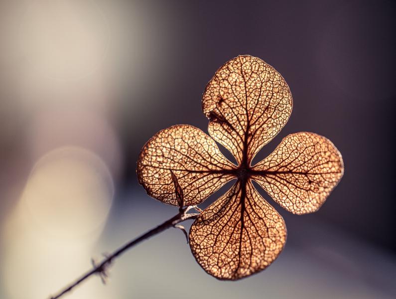 rosie kerr Mn9qZw6FF3w unsplash