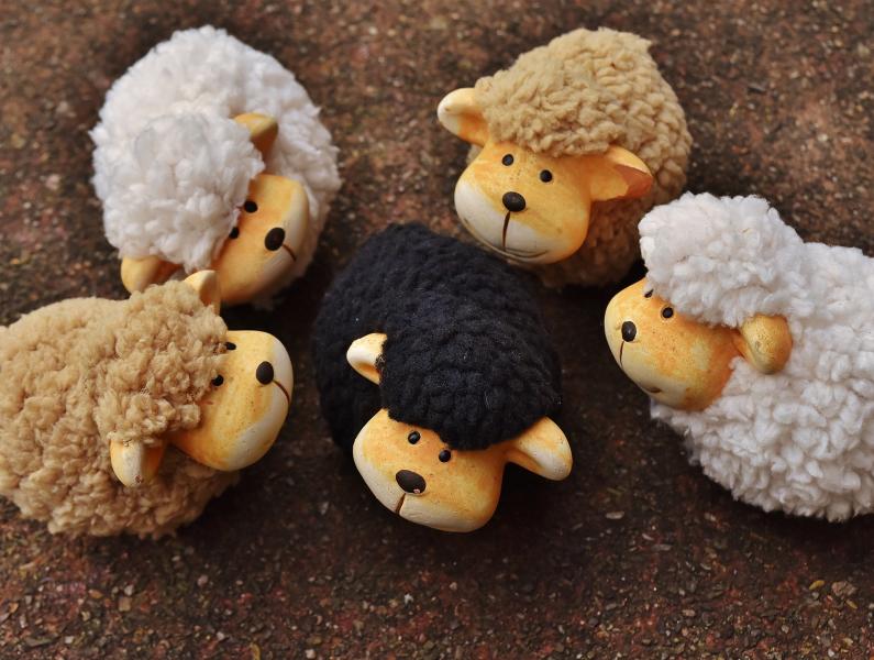 sheep 1767171 1920