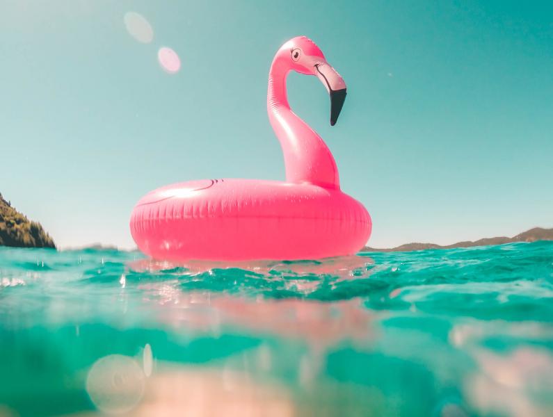 vicko mozara m82uh vamhg unsplash