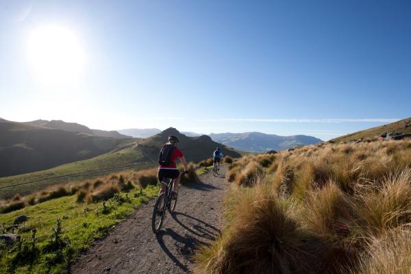 Cycling Port Hills