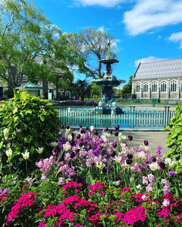 Christchurch Botanic Gardens - iphone 11 pro pic, Spring 2021