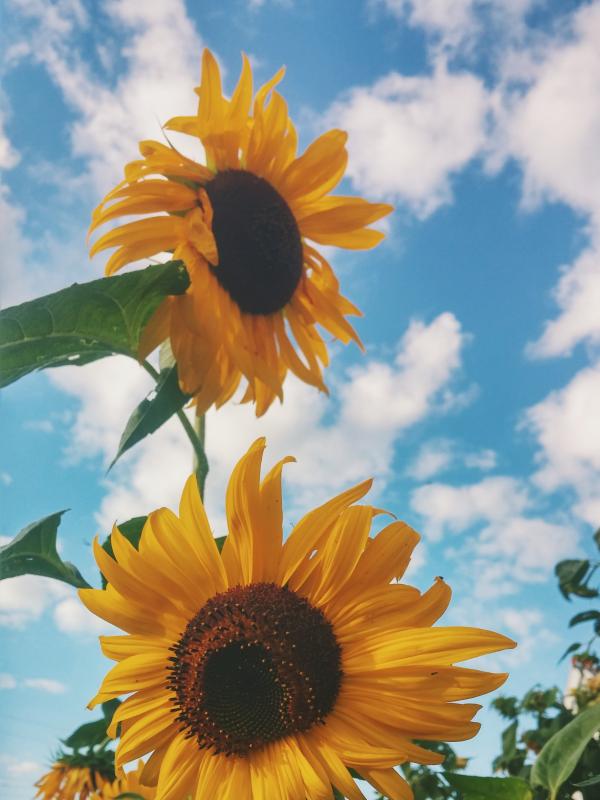 autumn mott rodeheaver gCduzLmwFYM unsplash