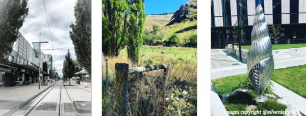 resizedimage600228 MD chch